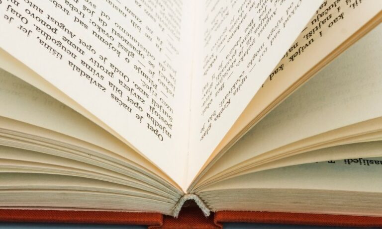 Servicios de Traducción Literaria