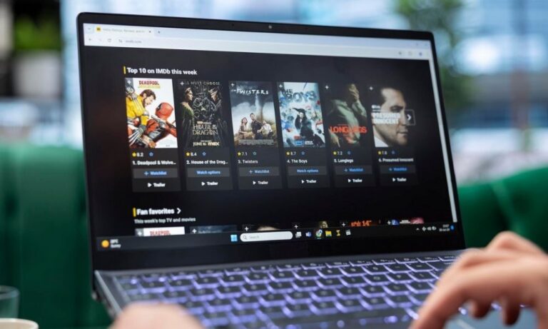 Servicios profesionales de Subtitulación